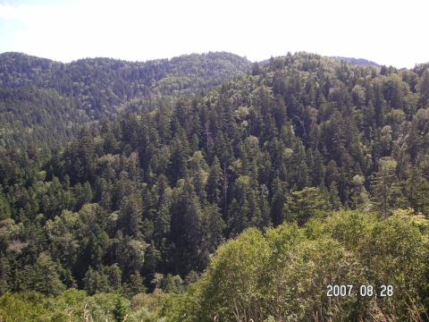 s_PICT0323.jpg